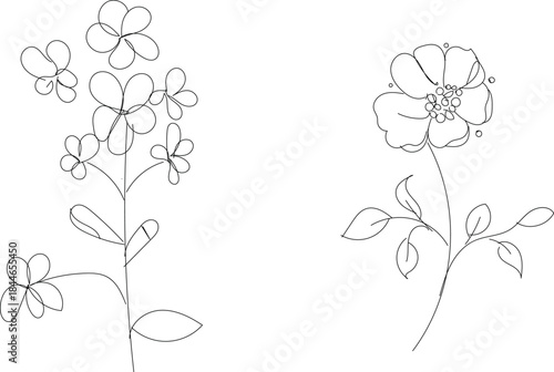 Black and white line drawing of flowers and leaves on
