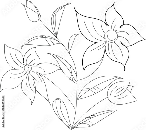 Black and white line drawing of flowers and leaves on