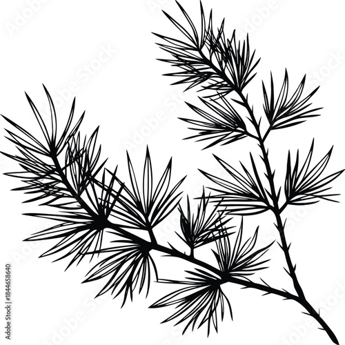 Hand-Drawn Conifer Branch Vector Line Art Illustration: Detailed Botanical Sketch of Pine Needles on a Twig, Ideal for Nature Logos, Rustic Design Elements, and Winter Holiday Decorations