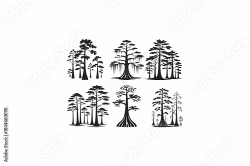 Swamp Cypress nature tree vector silhouettes black image made by adobe illustrator.