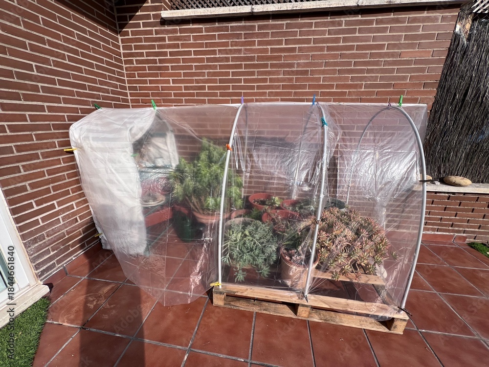 Φωτογραφία Invernadero estructura cubierta con plástico sobre tubos pvc en arco anclado al palet de madera