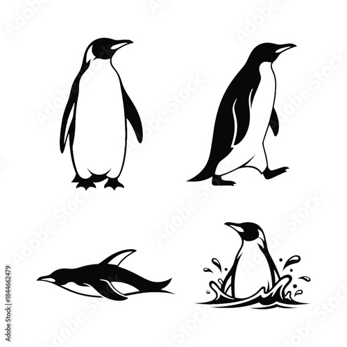 Stylized penguin illustrations in black and white showing different poses