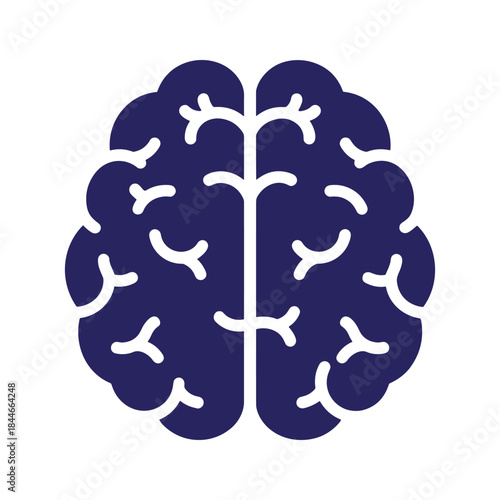 Human brain illustration with white background
