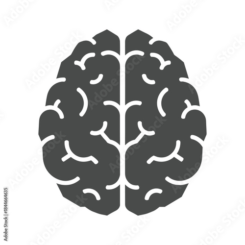 Human brain illustration on white background