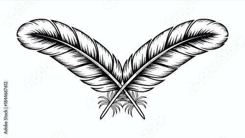 Two feathers illustration