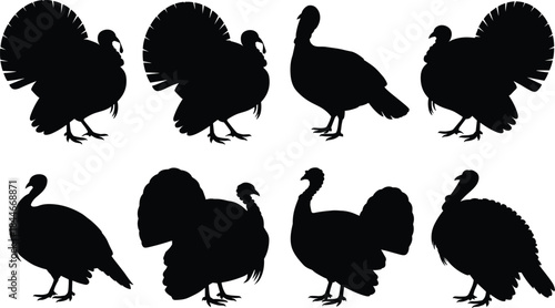 Wild turkey silhouettes set in multiple poses, black flat vector illustration showing male and female turkeys from side and front views