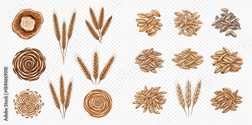 Set of wheat ears, grains, and flour circles, hand-drawn vector illustration for agriculture and baking.