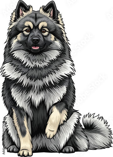 Keeshond dog sitting raising paw interaction pose