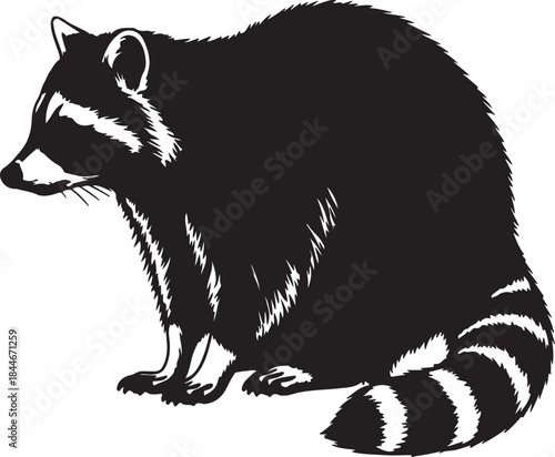 Black and white raccoon with distinct ringed tail sitting on the ground also transparent background animal