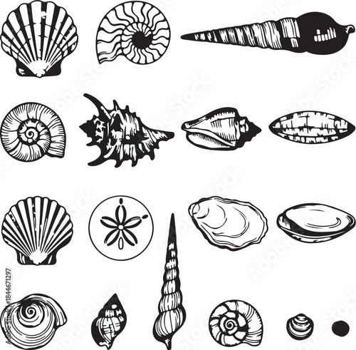 Collection of Various Shells and Seashells in Black and White Style also transparent background scallop