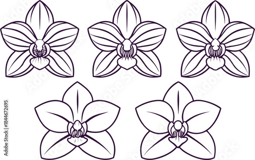 Orchid Flower Set in Clean Outline Strokes. Minimal Orchid Flower Design with Line Art Style. Botanical Orchid Flower Illustration in Outline. Elegant Natural Orchid Flower Collection in Linear Style