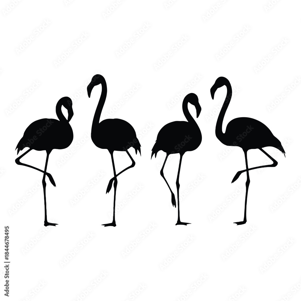 Naklejka premium A simple silhouette illustration showing four elegant flamingos in a row
