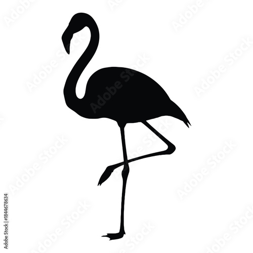 Elegant flamingo silhouette a striking black and white avian image