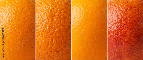 Close-up with different textures of peel of oranges 
