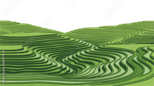 Vibrant green tea plantation landscape with wavy rows