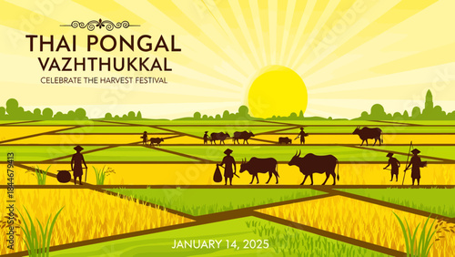Thai Pongal Vazhthukkal celebration harvest festival with farmers, cattle, and rice fields under a bright sun on January 14, 2025