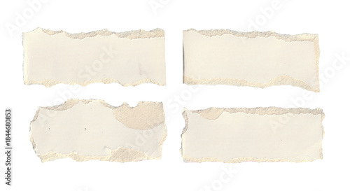 Wallpaper Mural torn blank pages with uneven texture edges. set of ripped white paper sheets png isolated on transparent background.  Torontodigital.ca