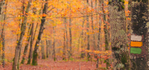 Trail signage. Route of the ancient oak trees in Etxarri-Aranatz, Navarre.