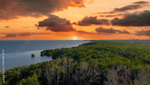Aerial shot of Matheson Hammock Park in Coral Gables Florida USA