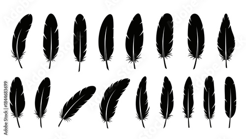 A simple vector illustration showing a set of light and fluffy bird feathers used as artistic and writing symbols