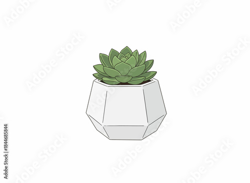 A geometric white pot holds a green succulent plant in a minimalist vector illustration style, isolated on white background.