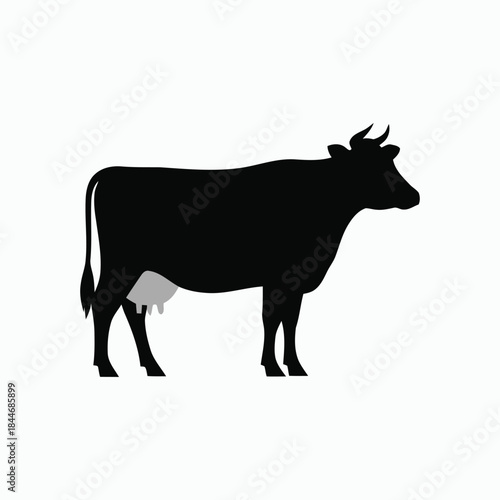 Black Silhouette Cow With Grey Udder On White Background Keywords: cow, cattle, animal