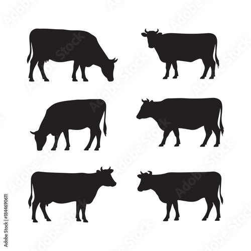 a collection of six black cow silhouettes arranged in a grid pattern against a clean white background silhouette