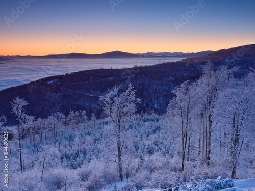 Fototapeta Naklejka Na Ścianę i Meble -  Beskidy, Schronisko Szyndzielnia.
Wchód słońca / świt na Szyndzielni. Inwersja, mgły, 