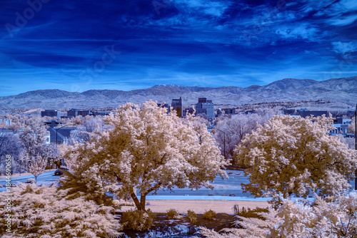 Infrared trees and Boise skyline with blue sky