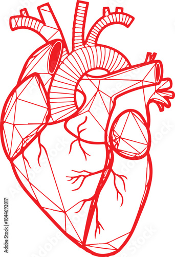 Red human heart with geometric mesh pattern vector