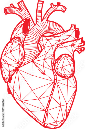 Red human heart with geometric mesh pattern vector