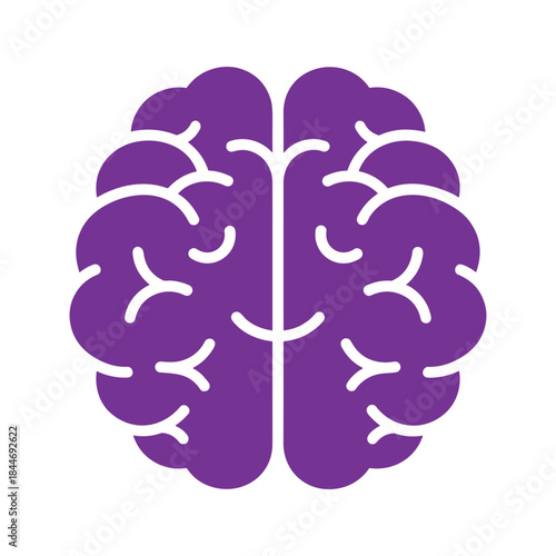 Human brain illustration in purple