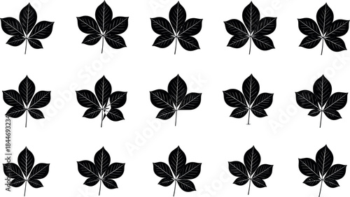 Fifteen stylized black and white Horse Chestnut or Buckeye leaves arranged in a repeating pattern, creating a graphic nature-inspired vector background, perfect for seamless botanical fabric print.