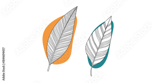 Two stylized leaves overlap with bold orange and teal shapes forming a contemporary botanical illustration suitable for nature themed design projects.