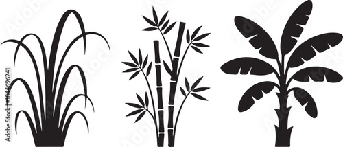 Tropical plants sugarcane bamboo and banana leaves clean silhouette vector illustrations