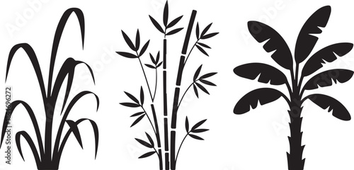 Tropical plants sugarcane bamboo and banana leaves clean silhouette vector illustrations