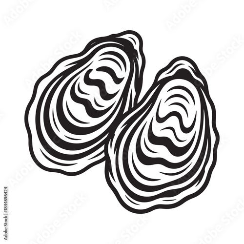 A detailed black and white illustration depicts two fresh oysters with prominent ridged shells showcasing their natural curves and textures in a vintage style