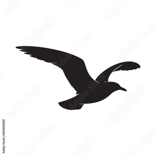 A striking silhouette of a seagull in flight wings fully extended captures a moment of freedom and natural beauty against a blank backdrop