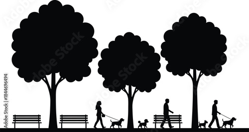 Silhouettes of People Walking Dogs in a Park with Benches