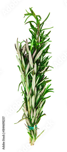Rosemary isolated on white background.