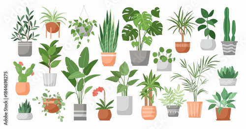 Houseplant vector set