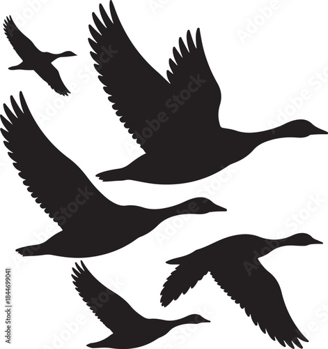 Black Bird Flight Silhouettes – Wildfowl Flock Clip Art and Graphic Design Element - bird, silhouette, flock, flying, geese, duck, vector, migration, flight, wildfowl, nature, wildlife, black, 