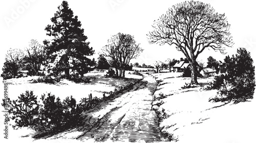 Snow-covered path lined with trees in a detailed black and white engraving style. A winter landscape vector illustration.