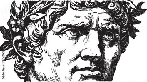 Classical statue face in detailed grey etching style. Monochrome portrait vector illustration of a male bust in a historical art set.