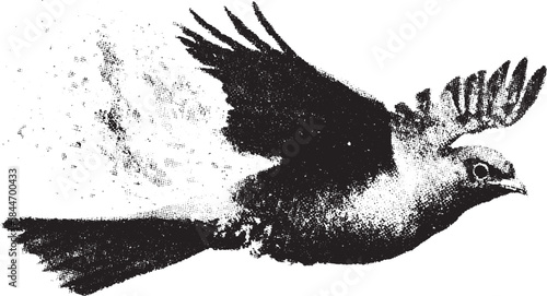 A black silhouette of a bird in flight. This vector illustration highlights the graceful movement of nature with a simple design.