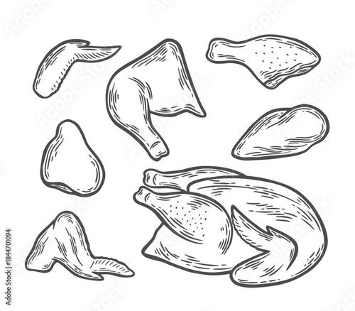 Parts of chicken meat