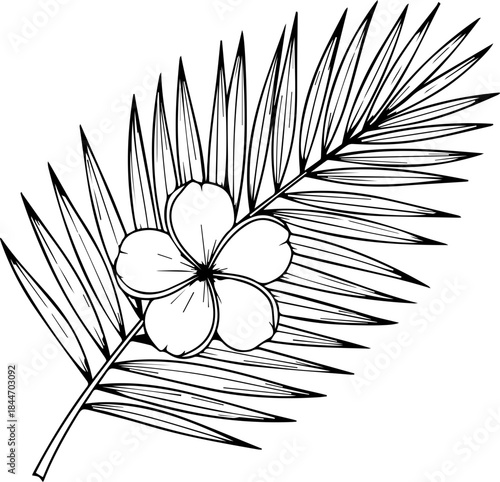 Elegant botanical art of plumeria flower with palm leaf, ready to add a tropical touch to your design or project, original vector graphic for easy scaling