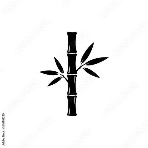 Empty vector file display