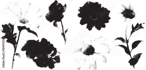 Black and white flower illustration set featuring a modern botanical design. This vector artwork is suitable for various decorative applications.