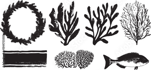 Set of coral and seaweed illustrations in black style. Simple aquatic vector illustration showcasing plant life and fish.